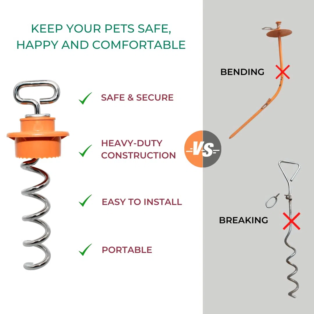 Intellileash Amarre para Perros