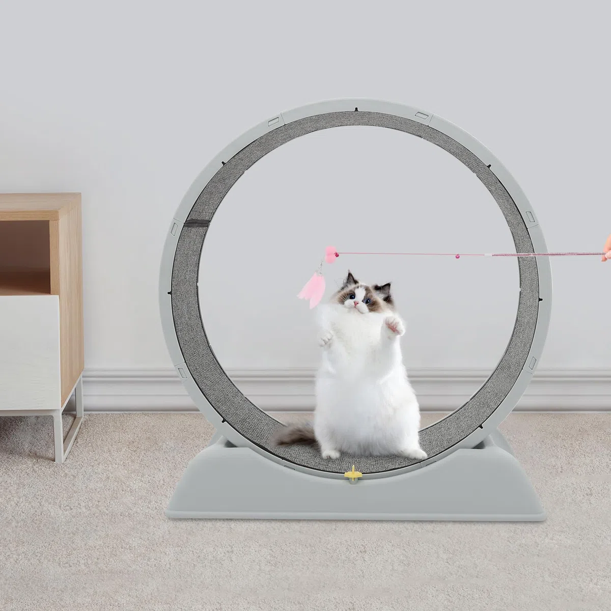 Bicicleta para gatos domésticos, cinta de correr para gatos, con alfombra extraíble y pesca para gatos, resistente a los arañazos, estable y silenciosa, adecuada para la mayoría de los gatos de