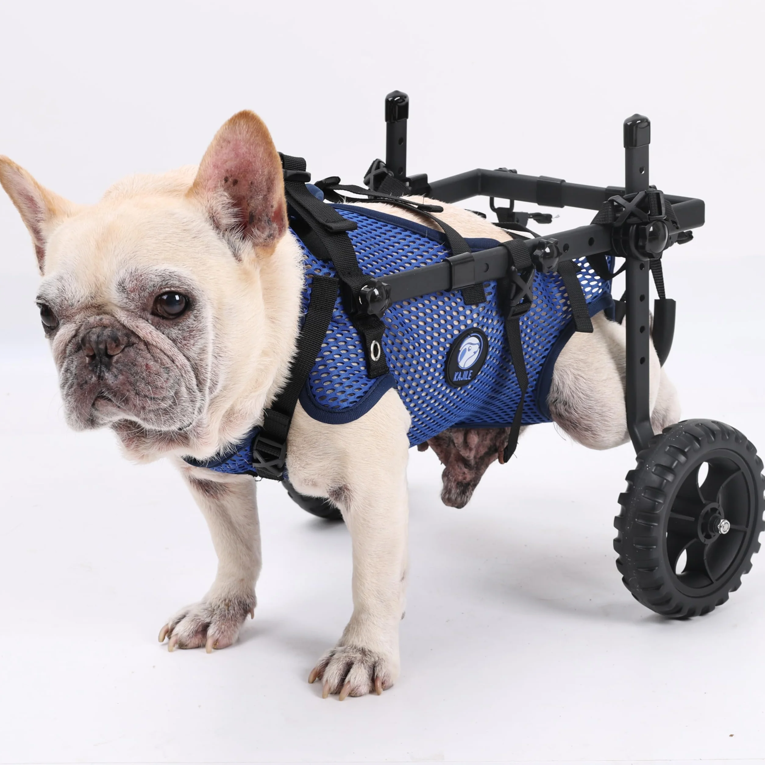 Silla de Ruedas Plegable Ajustable 2 Ruedas para Mascotas,Azul,XS | Rehabilitación de las extremidades traseras de mascotas,carrito para mascotas,soporte para las patas traseras,fácil montaje