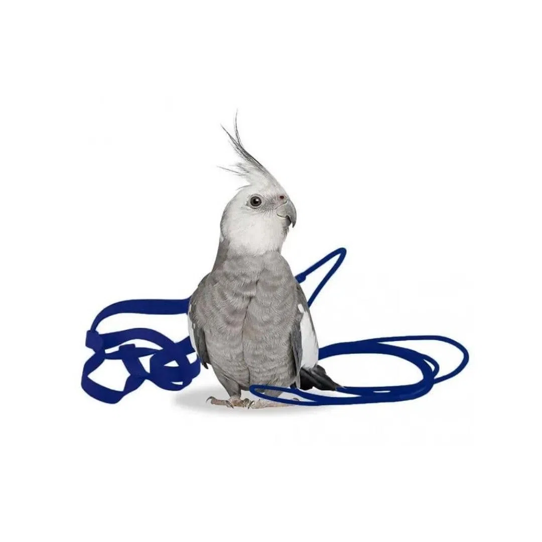 Arnes para Aves The Aviator Azul Talla Petite 75-110 grs