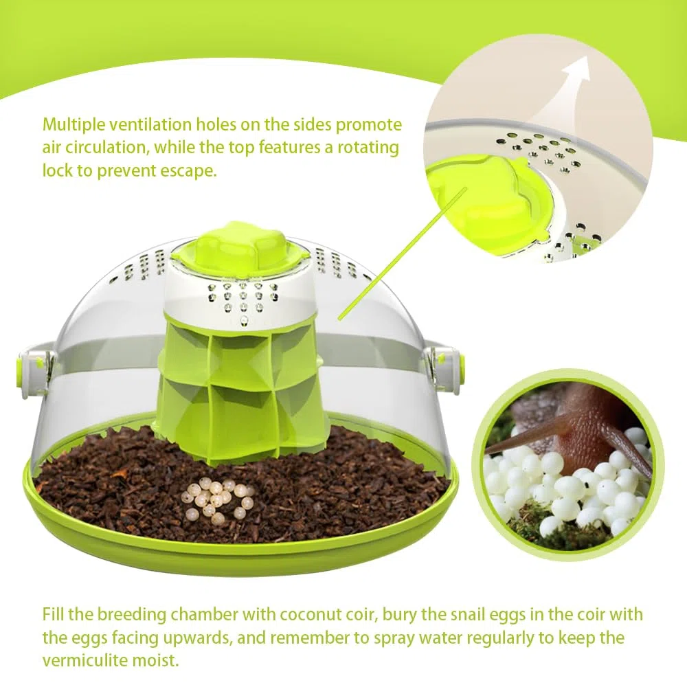 Caja de cría de terrarios de caracoles, kit de terrario redondo para iniciación de hábitat de caracoles, caja de alimentación de caracoles transparente, ideal para caracoles, escarabajos, arañas y