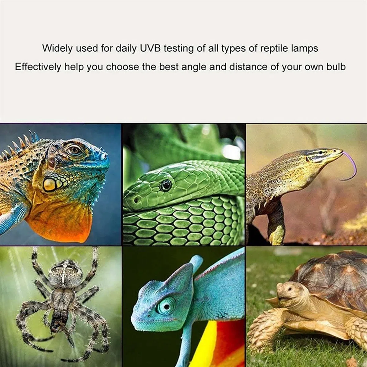 Medidor UVB Medidor UVB de alta precisión UVB Detector UVB Instrumento de prueba para reptiles
