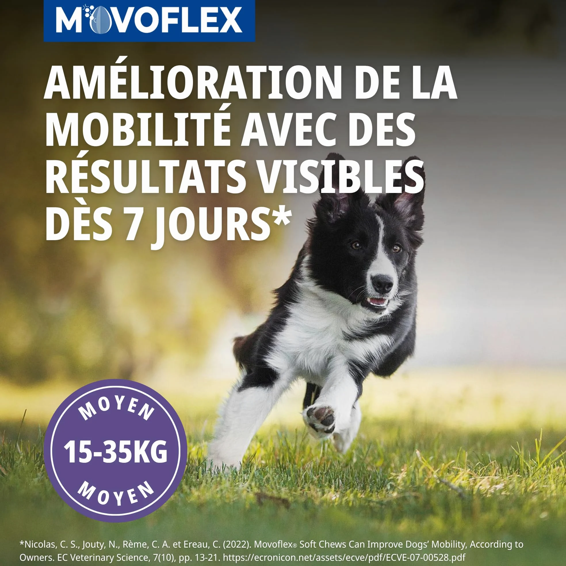 Movoflex Soft Chews | 30 Unidades | para Perros de 15 kg a 35 kg | Alimento complementario para la Salud Articular | para Mantener Las estructuras articulares | con ácido hialurónico