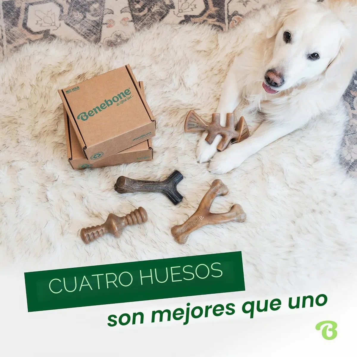 Benebone Caja de Juguetes masticables Duradera para Perros para masticadores agresivos con Hueso de Deseo, Espina de Pescado, Palo y zaggler, Mediano