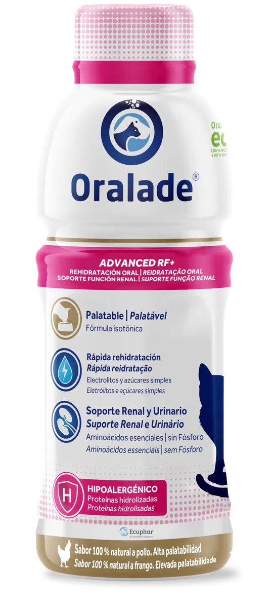 ORALADE Advanced RF Gatos 6 x 330ML