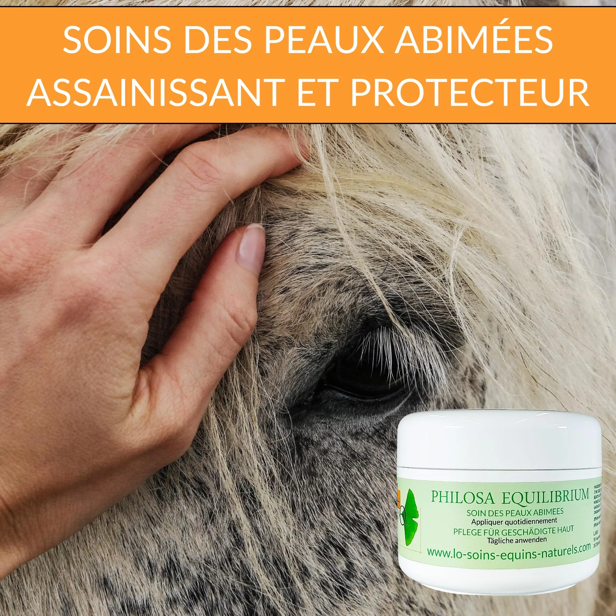 Philosa Equilibrium – Cuidado, bálsamo natural de las pieles dañadas (Gale de Lodo,...) para caballos – A base de plantas, caléndula, árbol de té, lavanda, orégano, aceite de Cade (250 ml)