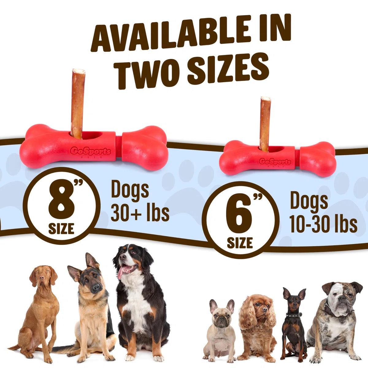 GoSports Chew Champ - Soporte para barritas Bully Stick para Perros, sostiene de Forma Segura Las barritas para Ayudar a prevenir el atragantamiento, tamaño de 15 o 20 cm, Paquete de 1 Unidad