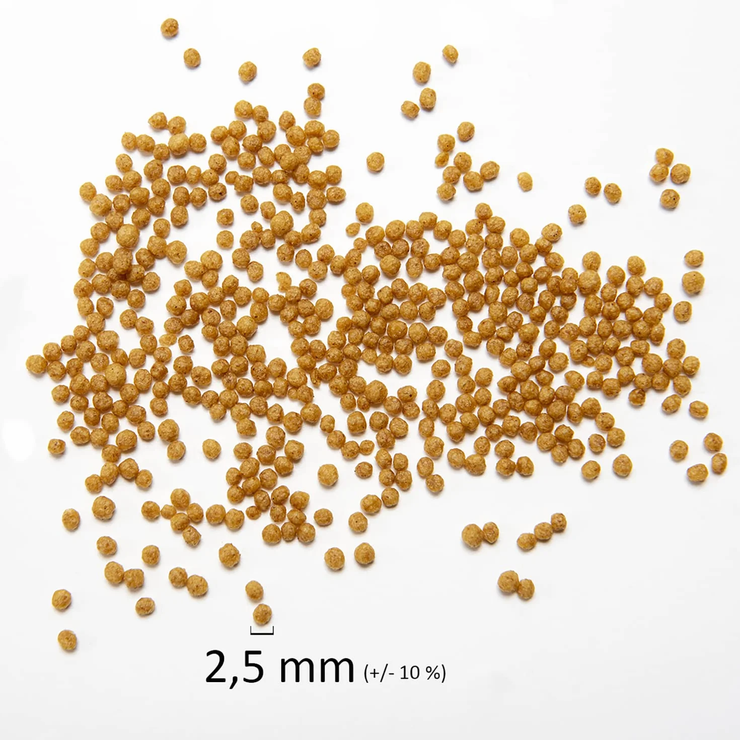 Psittacus Minor 450 g | Pienso Completo para Agapornis, Forpus y Pyrrhuras | Alimento Premium para Aves | 100% no-GMO