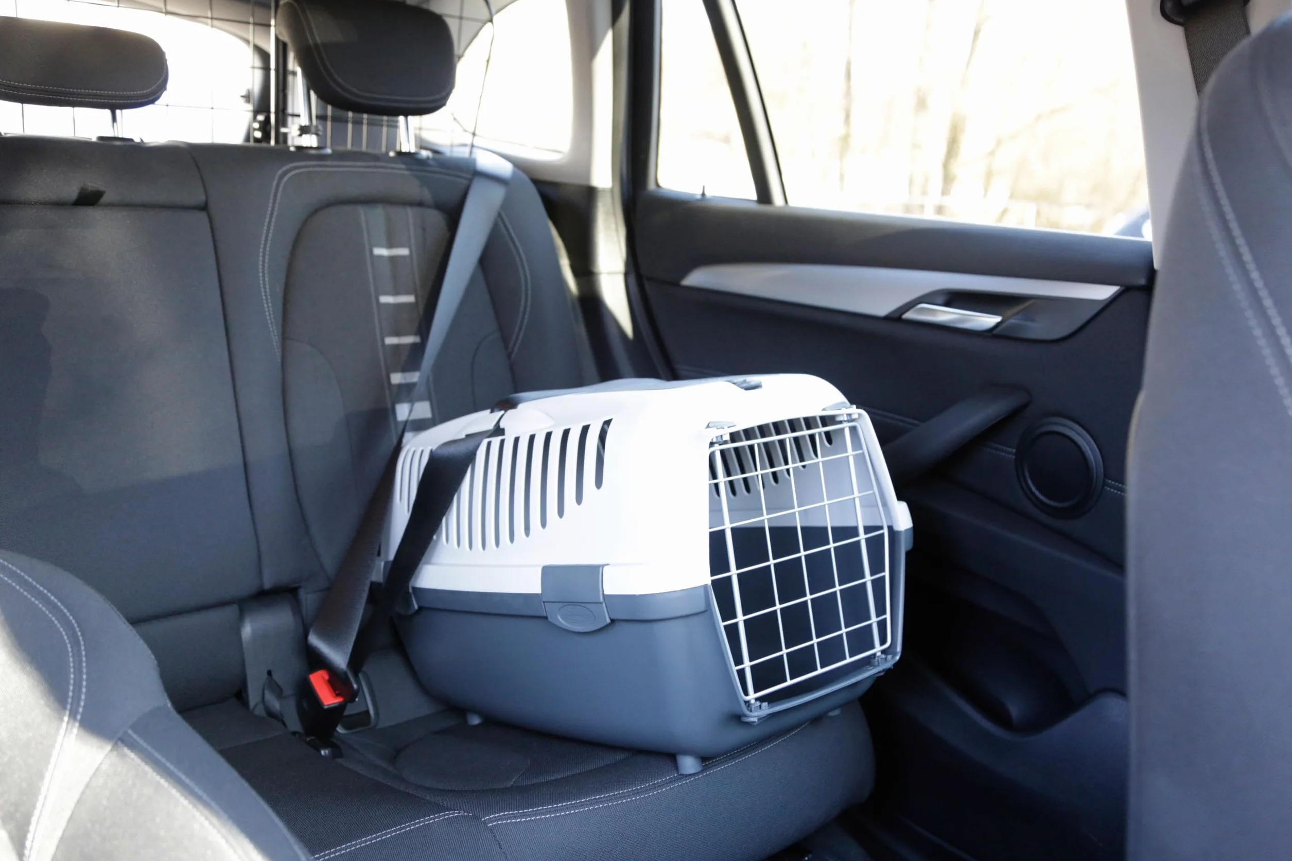 Kerbl Stefanplast Caja de Transporte Gulliver, Caja para Mascotas, Gris Claro, Gris Oscuro, 55x36x35cm, plástico, para Gatos y Perros, con Ranuras de ventilación