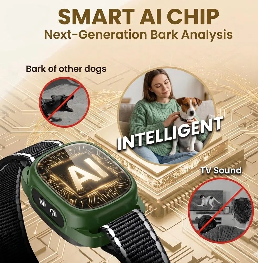 Collar antiladriods para Perros, sin Golpes, Recargable, 8 Niveles de sensibilidad, 4 Modos de pitido, vibración, bip+vibración/vibración Fuerte, Anti Bark Dog Collar, Waterproof