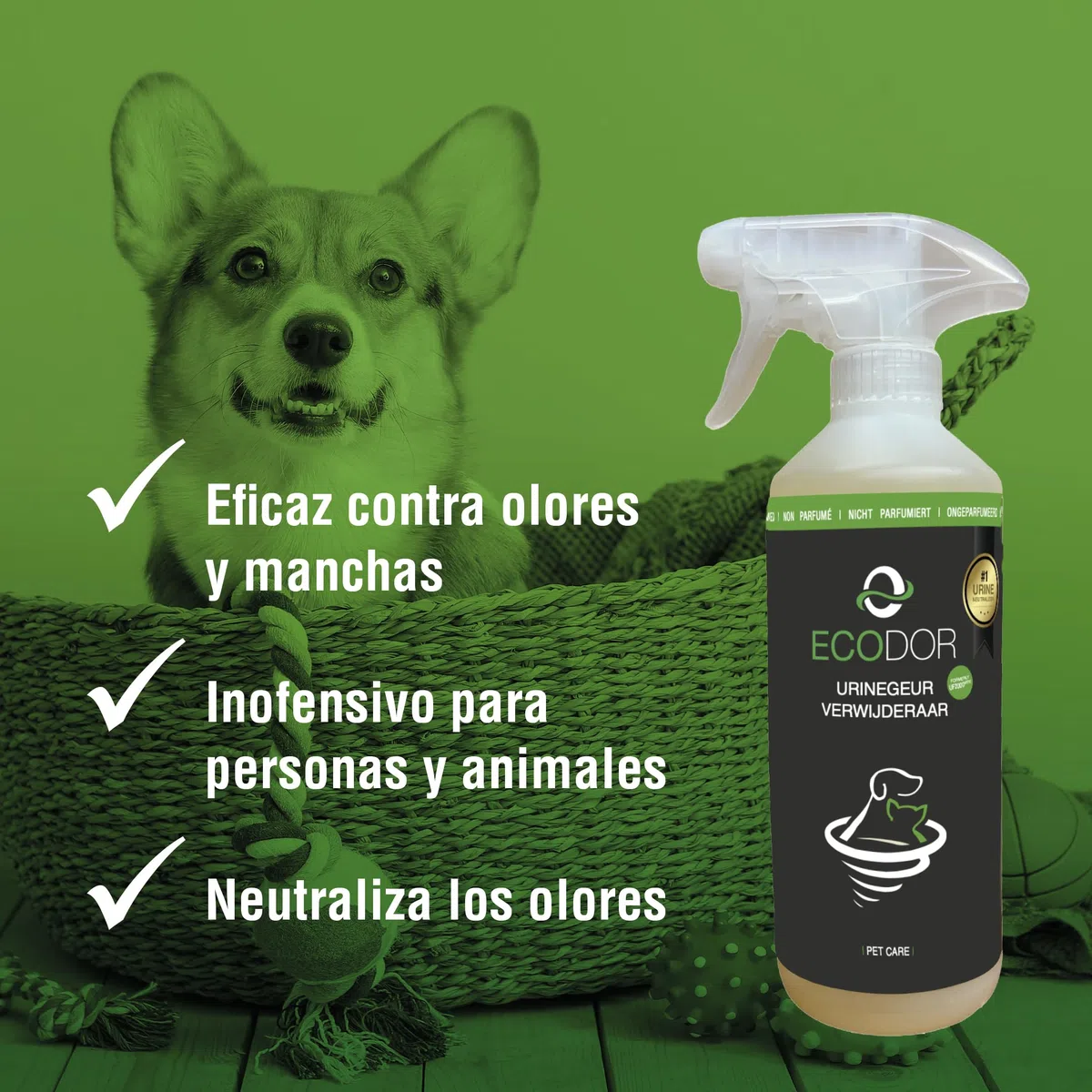 UF2000 Removedor de Olores de Orina 1000ml Concentrado | Sin Perfume | Biodegradable | Basado en Enzimas Vegetales | Elimina eficazmente los olores de orina de Perros, Gatos y roedores.