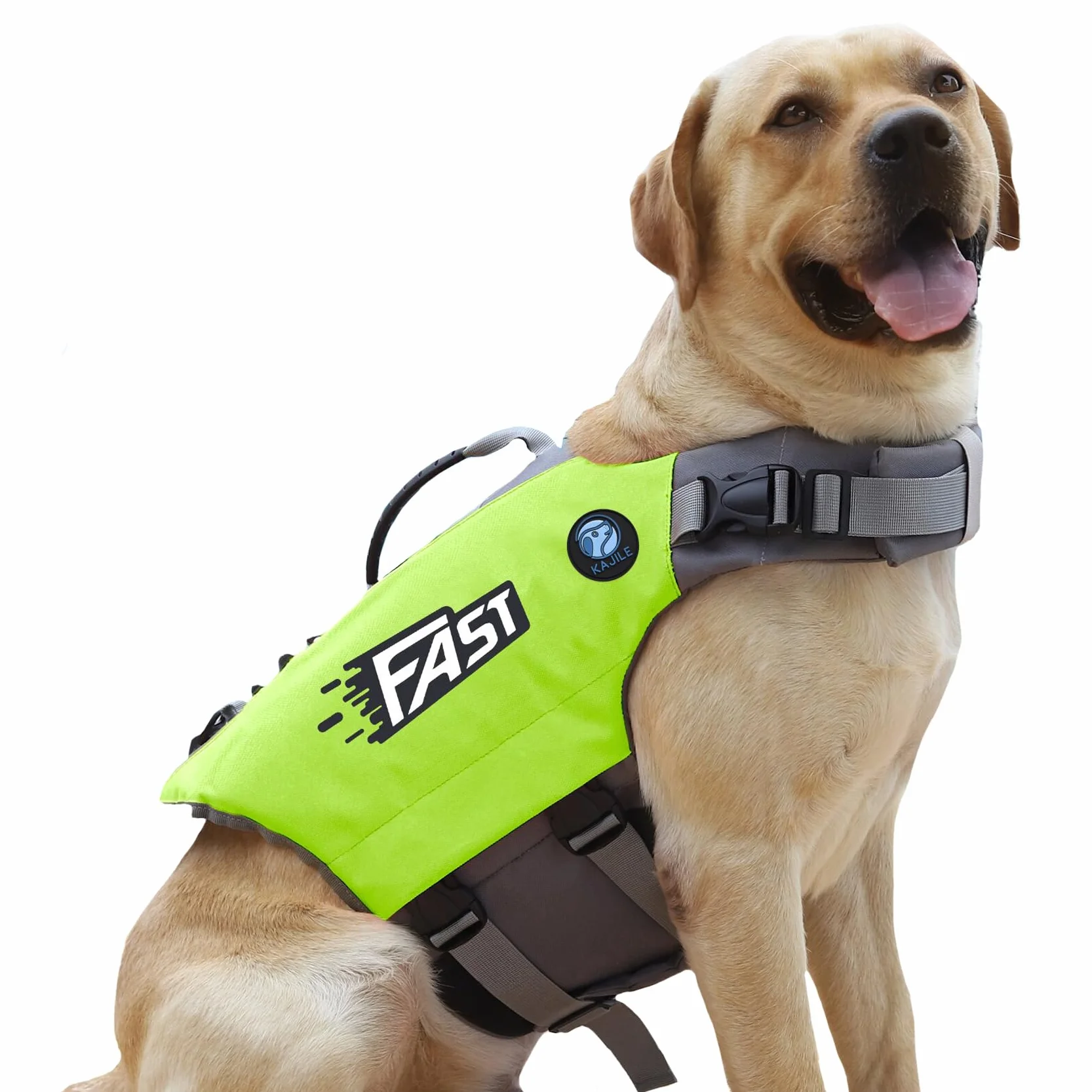 Chaleco Salvavidas Deportivo para Perros Bright Colors,Traje de Baño para Perro,Chaleco Flotante Ajustable con Asa de Rescate para Perros Pequeños,Medianos y Grandes,Verde,XL