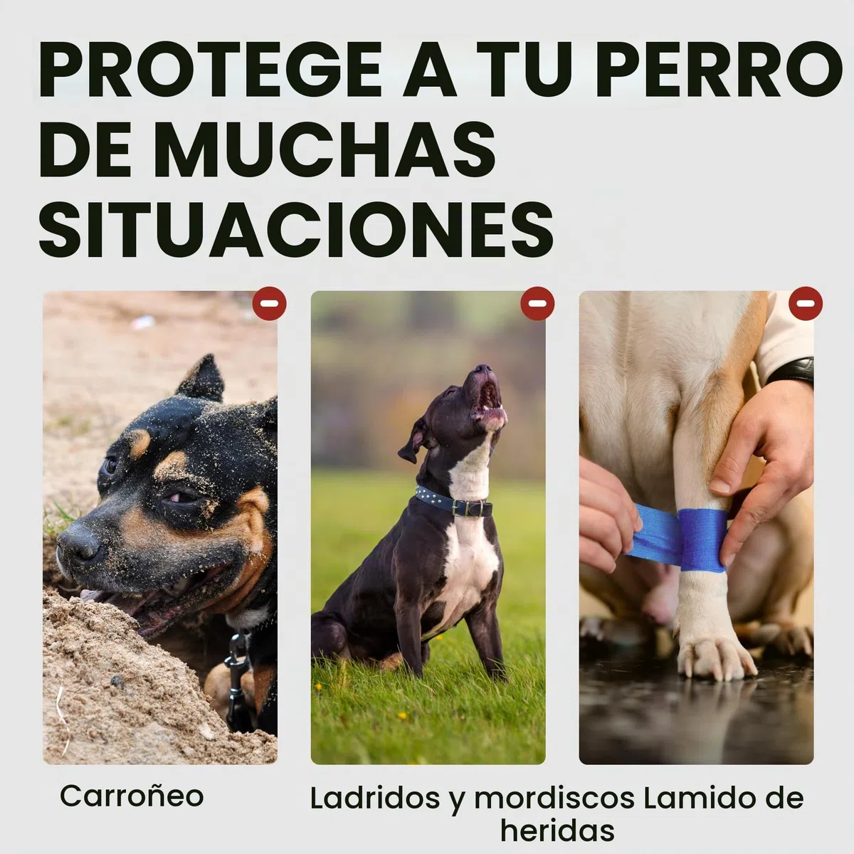 BronzeDog Bozal de Metal para Perro, Cesta de Alambre, máscara Transpirable con Correas de Cuero Ajustables, bozales para Perros extragrandes (XL)