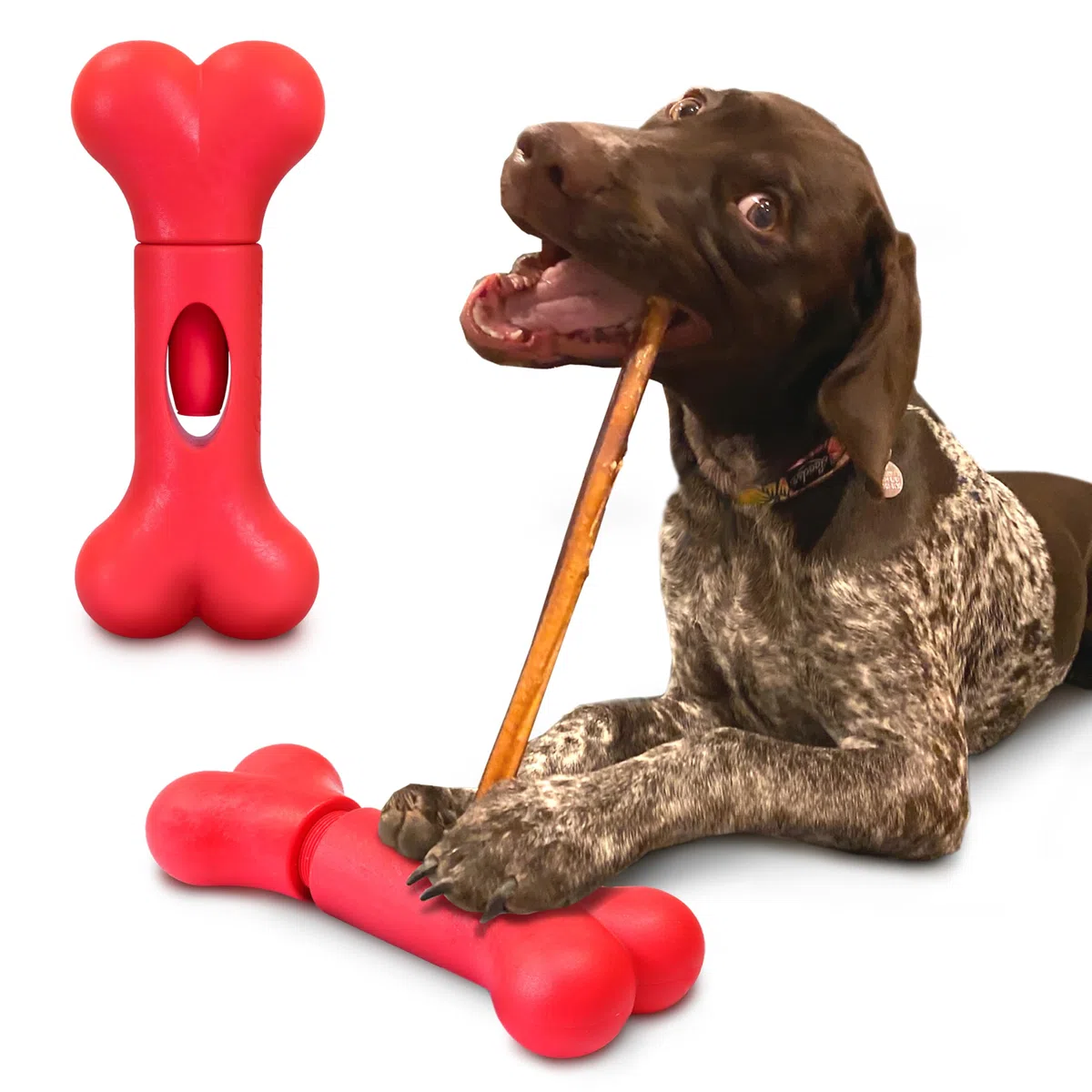 GoSports Chew Champ - Soporte para barritas Bully Stick para Perros, sostiene de Forma Segura Las barritas para Ayudar a prevenir el atragantamiento, tamaño de 15 o 20 cm, Paquete de 1 Unidad