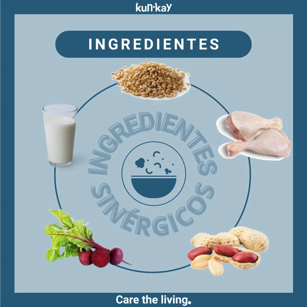 Mindkun - Suplemento Natural en Polvo Calmante para Perros 270 g | Antiestrés, Con Triptófano, Con Vitaminas B, Relajante sin Sedación