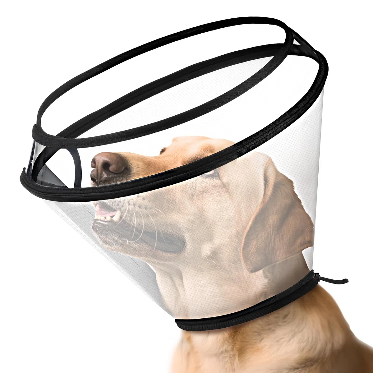 BONTHEE Collar Isabelino para Perros, Transparente Ajustable para Recuperación de Cirugía, Collar de Protección para Perros Grandes, Medianos y Pequeños y Gatos, Anti-Lamidas y Mordeduras