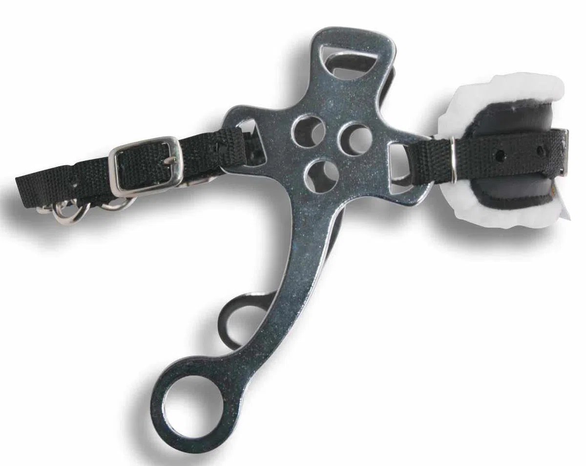 Hackamore Nylon Ajustable, con Base de Piel sintética, Talla única