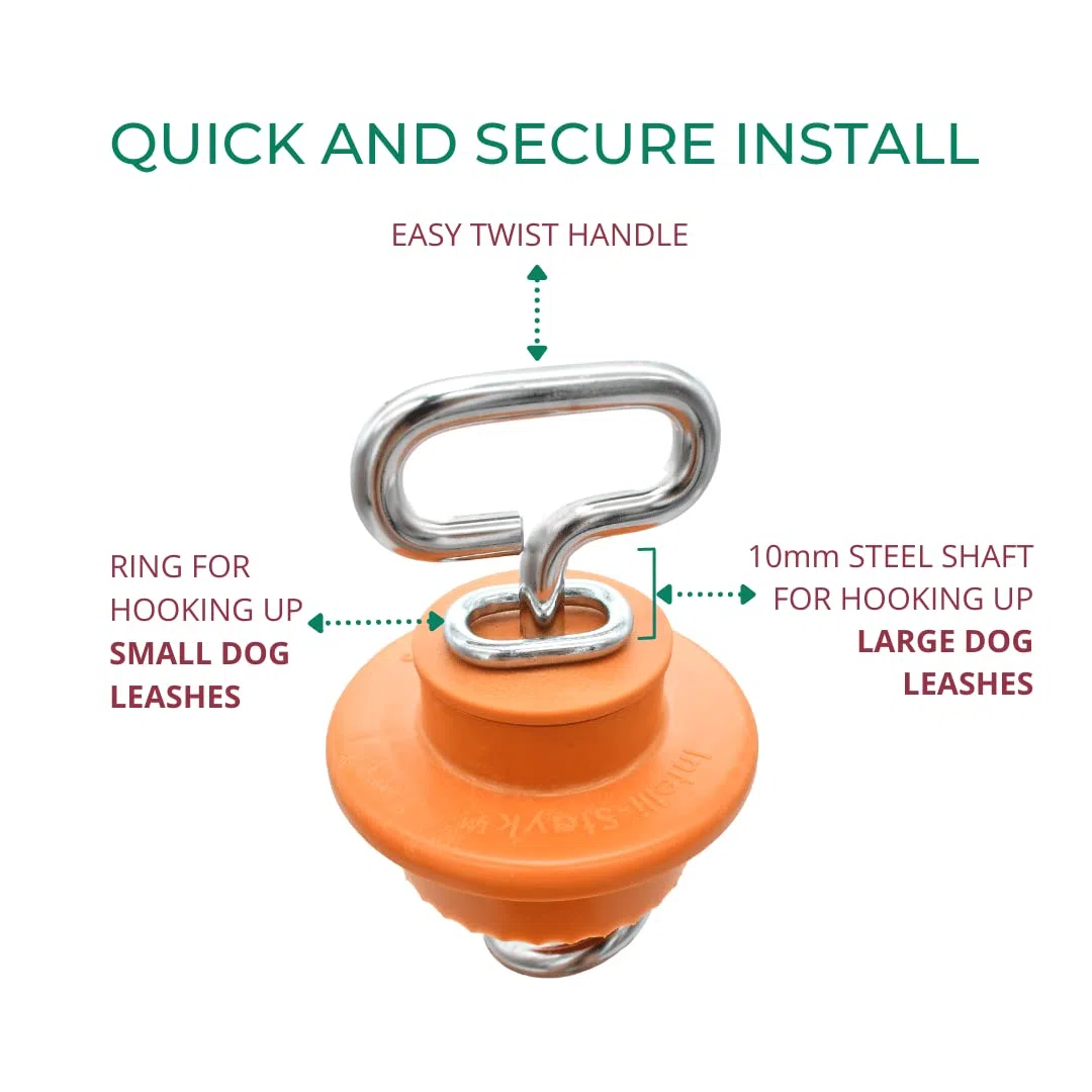 Intellileash Amarre para Perros