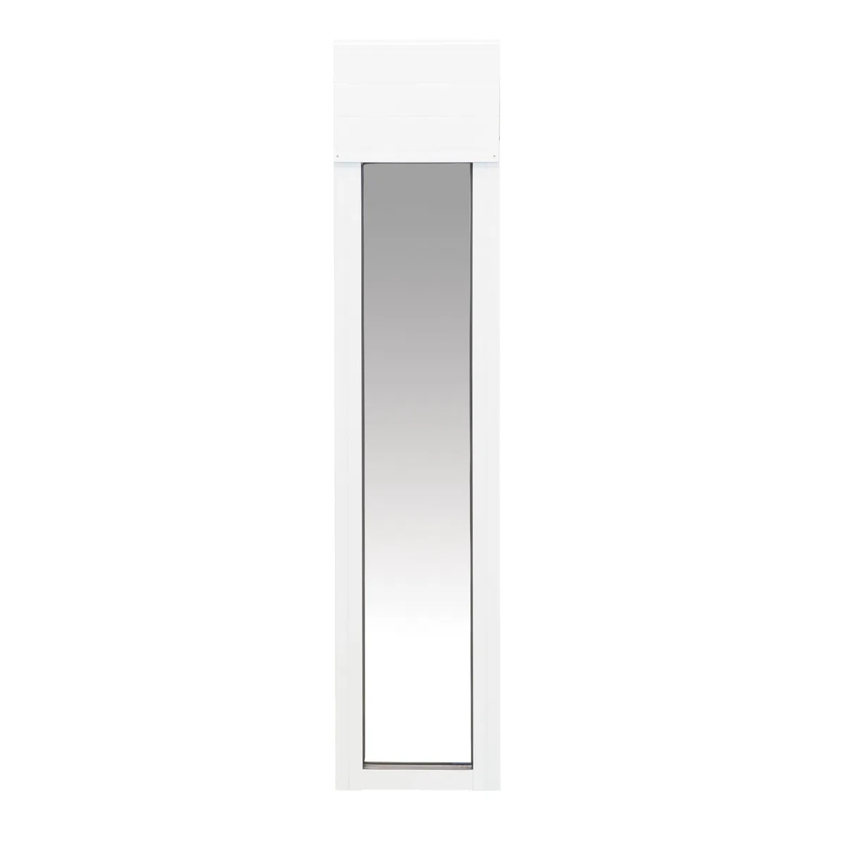 PetSafe Puerta Corredera de Vidrio para Gatos y Perros de 2 Piezas - Sin Necesidad de Recortar, Duradera, Resistente a Las Inclemencias del Tiempo - Pequeña