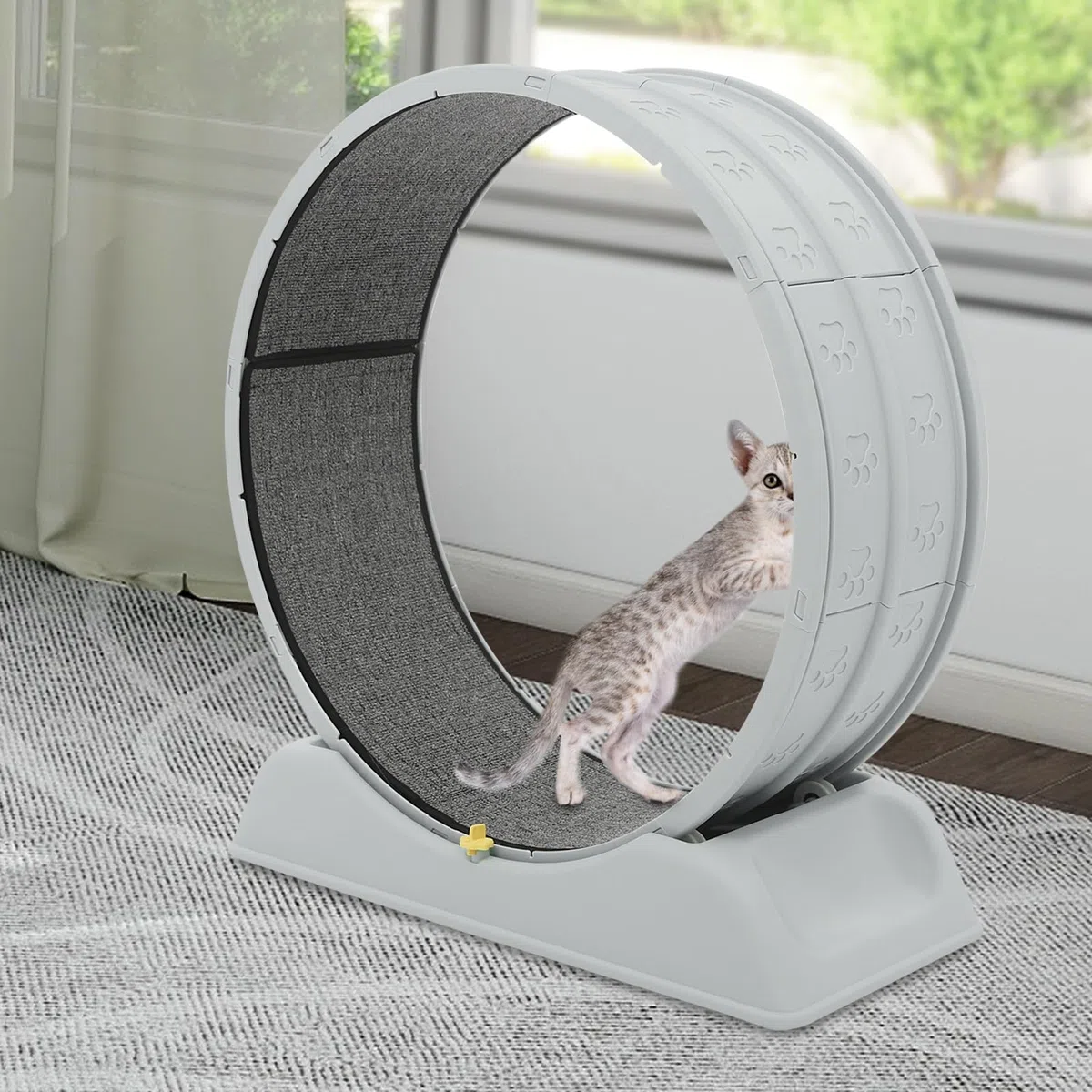 Bicicleta para gatos domésticos, cinta de correr para gatos, con alfombra extraíble y pesca para gatos, resistente a los arañazos, estable y silenciosa, adecuada para la mayoría de los gatos de