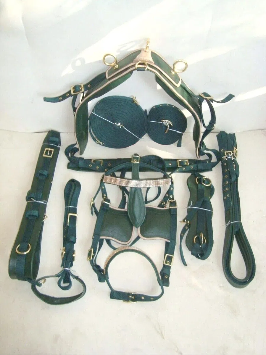 Juego de arnés de conducción de nailon de alta calidad, tachuela ecuestre completa con riendas y poni de brida, mazorca, completo y verde Shetland (pony)