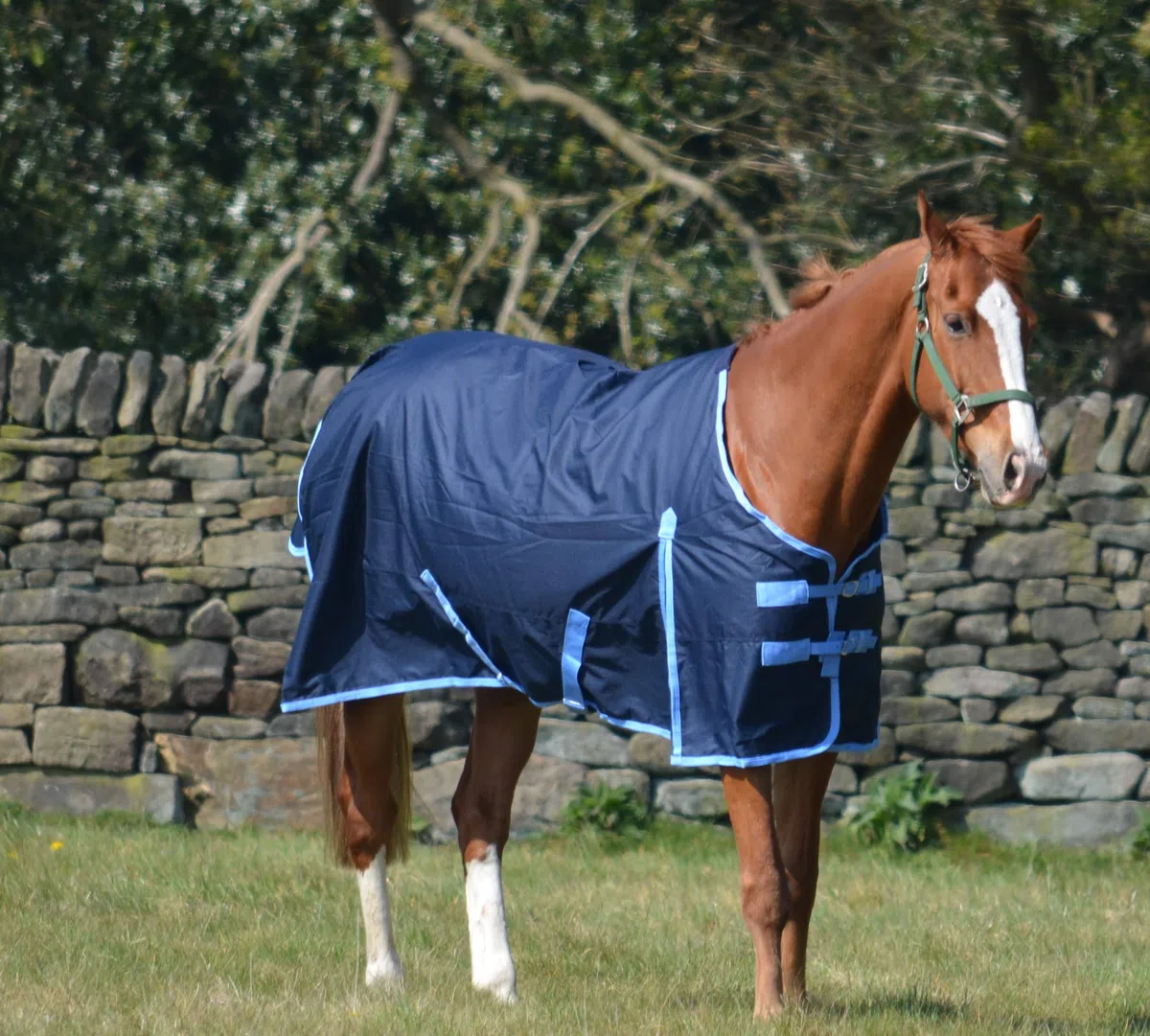 600d - Alfombra impermeable de peso medio para caballos (200 g), color azul marino