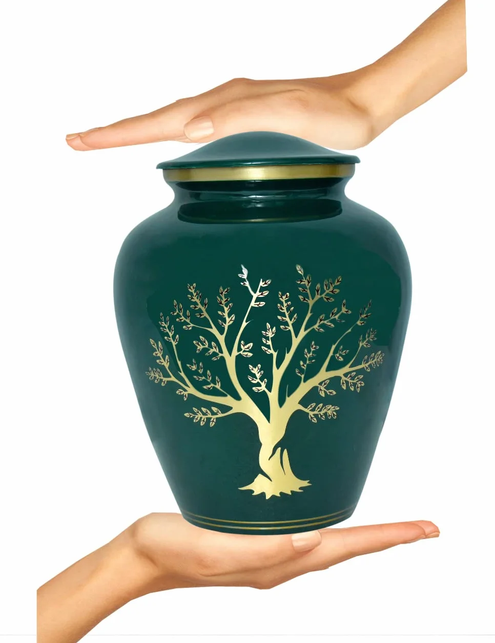 Bold & Divine Urna de cremación Impresa del árbol de la Vida | Grande | 200 Pulgadas cúbicas | Urna Conmemorativa de Cenizas humanas para Adultos, urna Conmemorativa para entierro, urna de cremación
