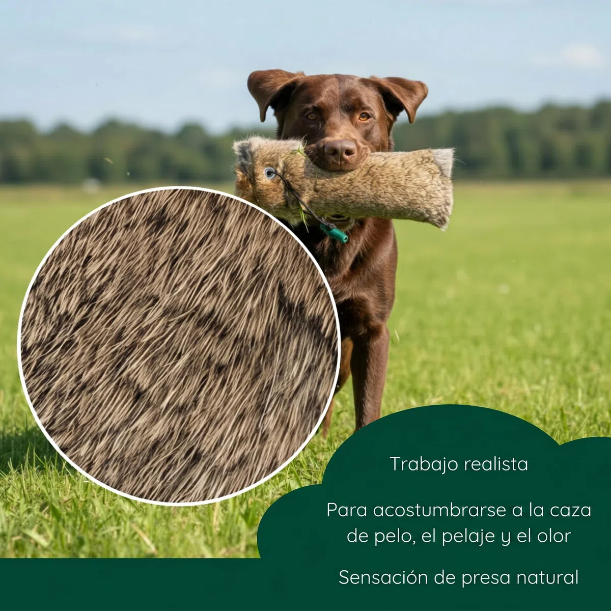 Romneys Dummy de conejo | Dummy estándar 500 g recubierto con piel de conejo real | Apportel Wild para el entrenamiento de perros de caza