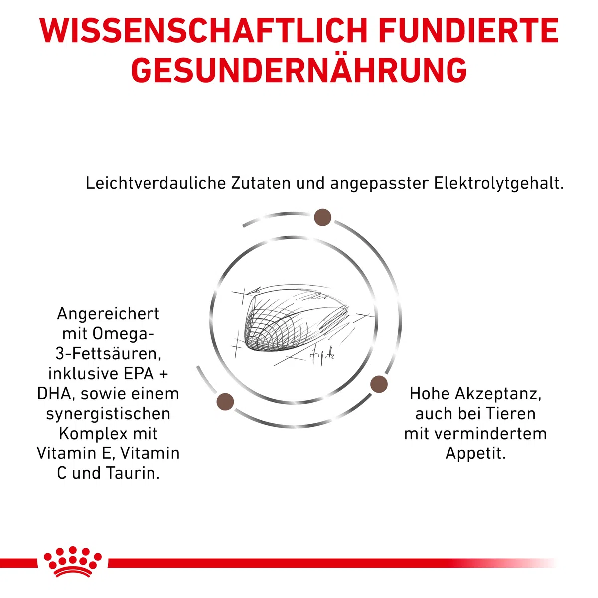 Royal Canin Alimento para Gatos con Problemas Intestinales GI32-2 kg