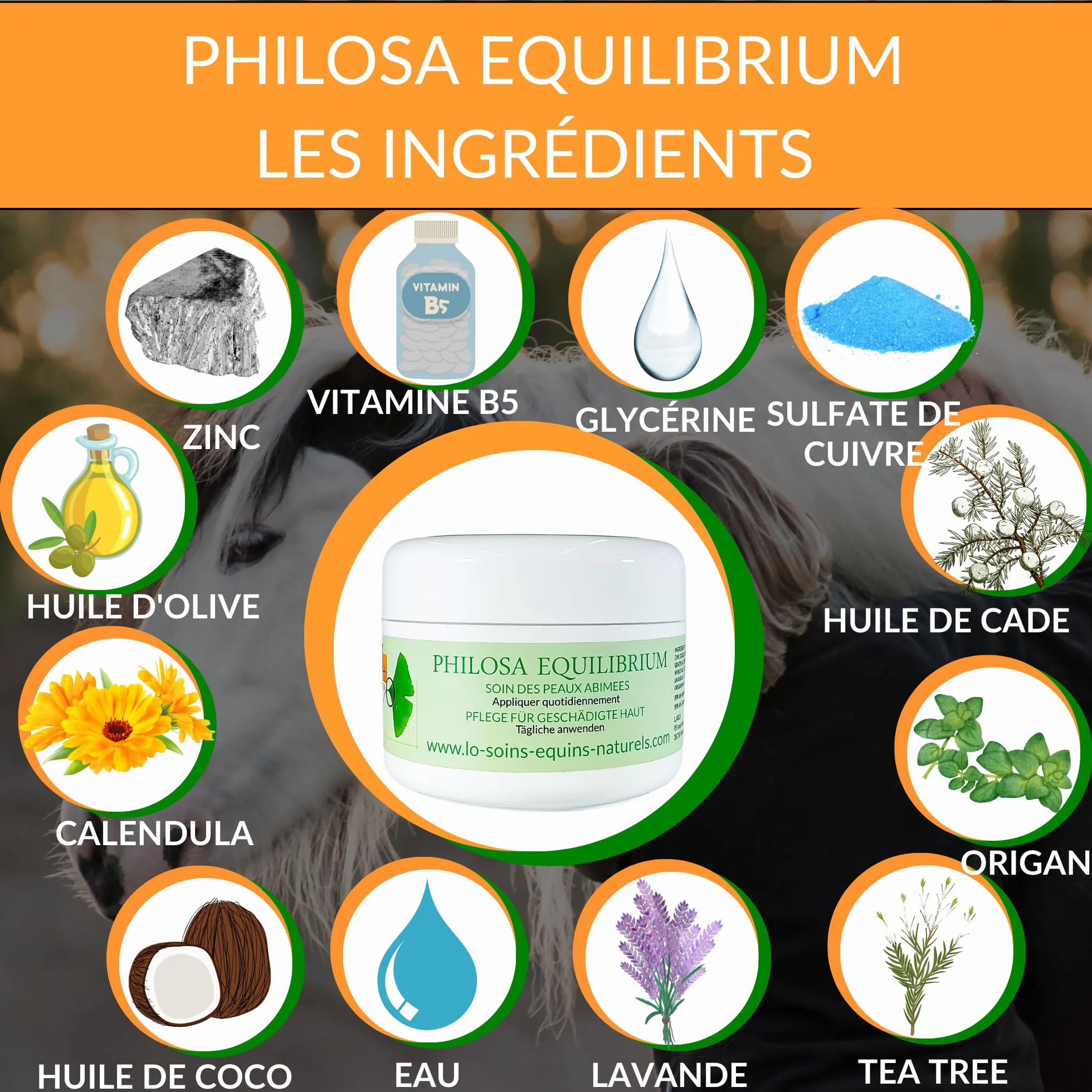 Philosa Equilibrium – Cuidado, bálsamo natural de las pieles dañadas (Gale de Lodo,...) para caballos – A base de plantas, caléndula, árbol de té, lavanda, orégano, aceite de Cade (250 ml)