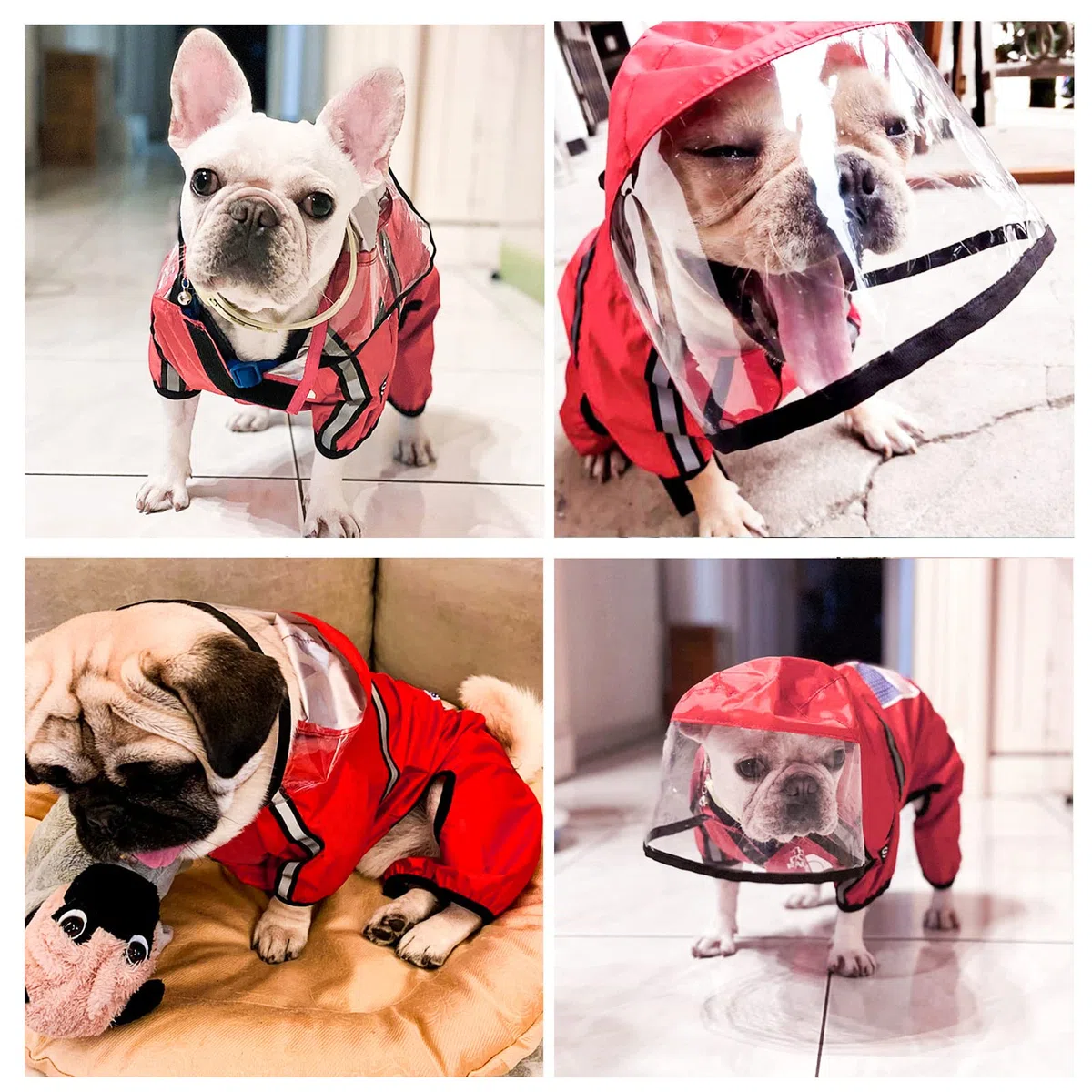 PETCUTE Chubasquero para Perros con Capucha,Impermeable para Perros con Collar Agujero y Tiras Reflectoras Seguras,Chaqueta para Cachorro Resistente al Agua para Perro Pequeño Medianos