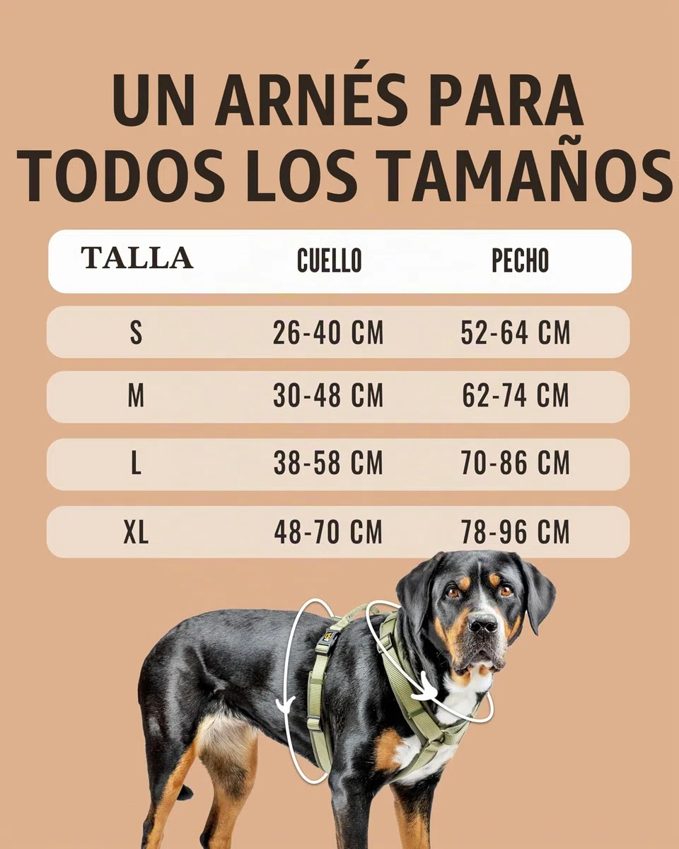 Rudelkönig Arnés para Perro Bella - Arneses para Perros con asa - Arneses de Perro Ajustables para Perros Grandes
