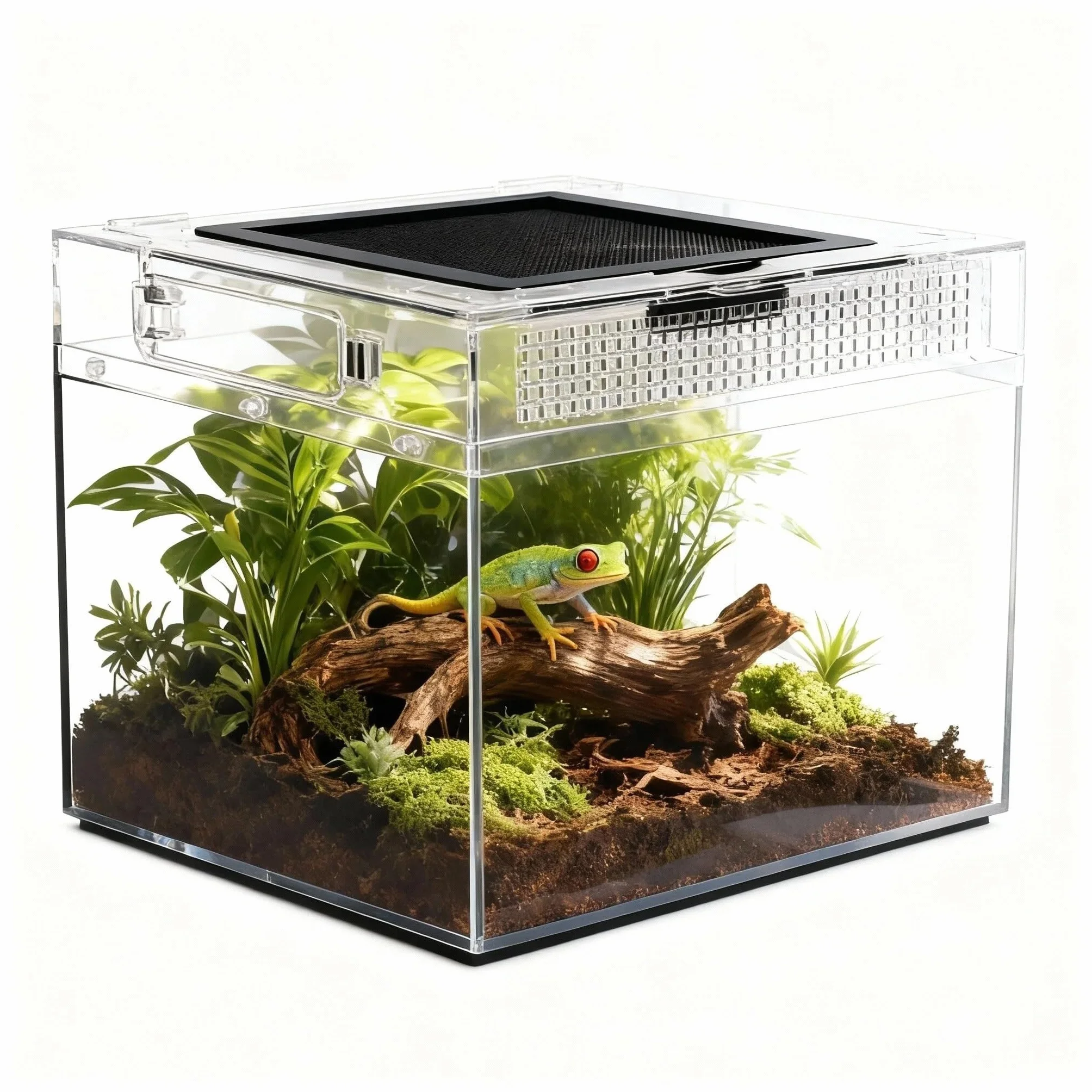 Caja de Alimentación de Insectos, Caja de alimentación para Reptiles, Estuche de Cría de Reptiles para lagartos, arañas, Ranas de Cuernos y escarabajos,Terrario para Reptil/Anfibios (12 * 7 * 9in)