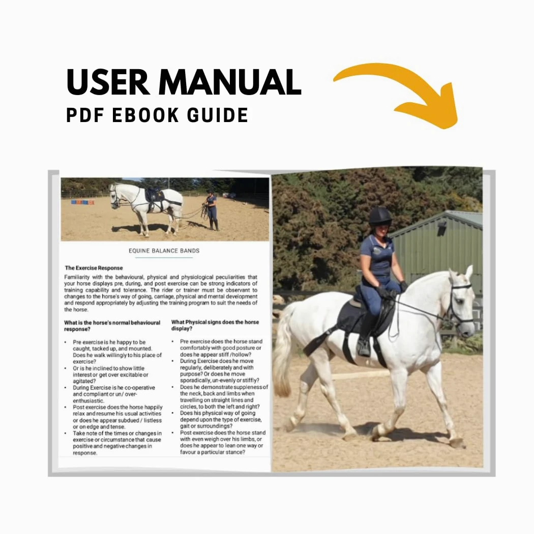 Sistema de banda equina. Ayuda de entrenamiento básico para zancadas y montar a caballo. Almohadilla multiusos y bandas de grado profesional Equine Balance Bands.