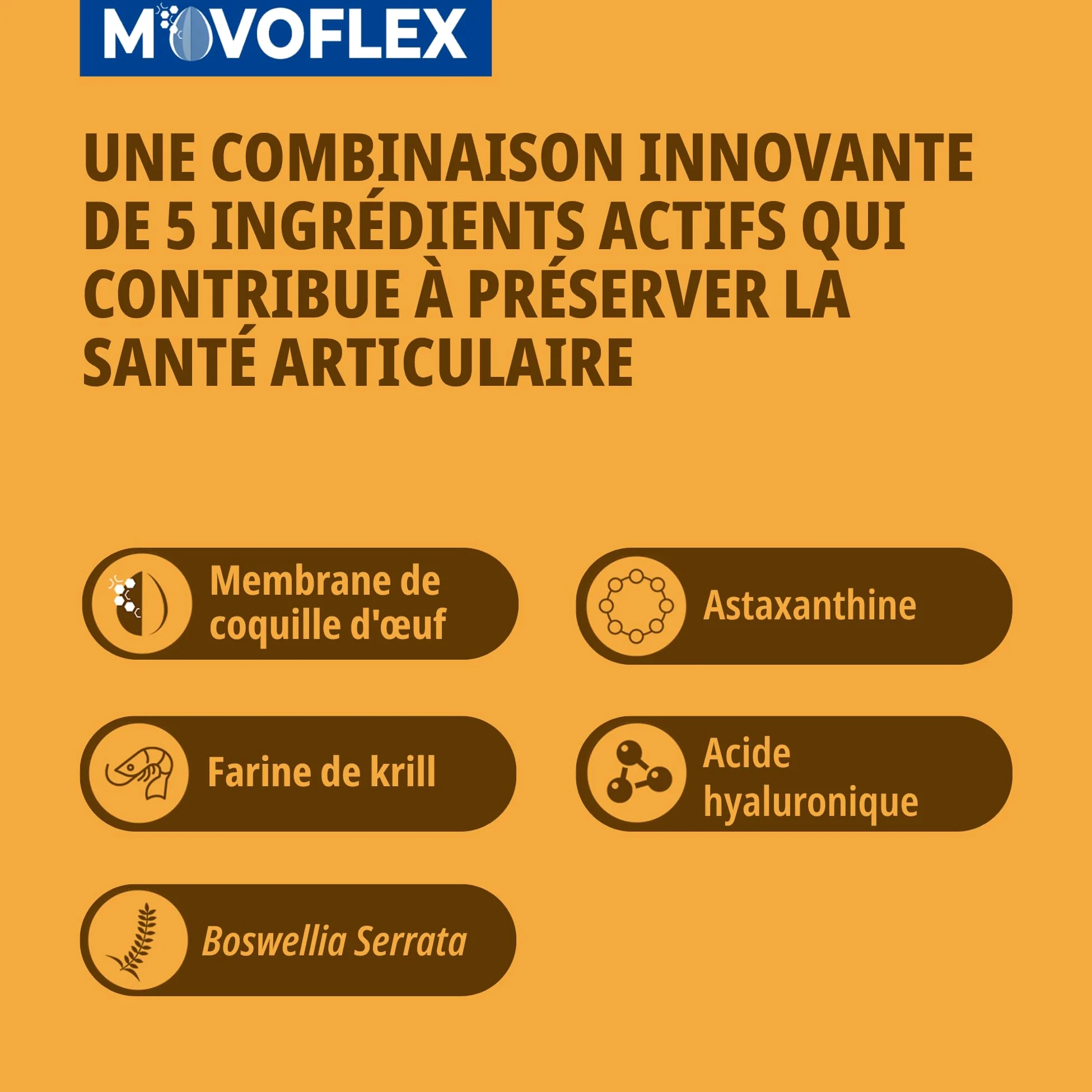Movoflex Soft Chews | 30 Unidades | para Perros de 15 kg a 35 kg | Alimento complementario para la Salud Articular | para Mantener Las estructuras articulares | con ácido hialurónico
