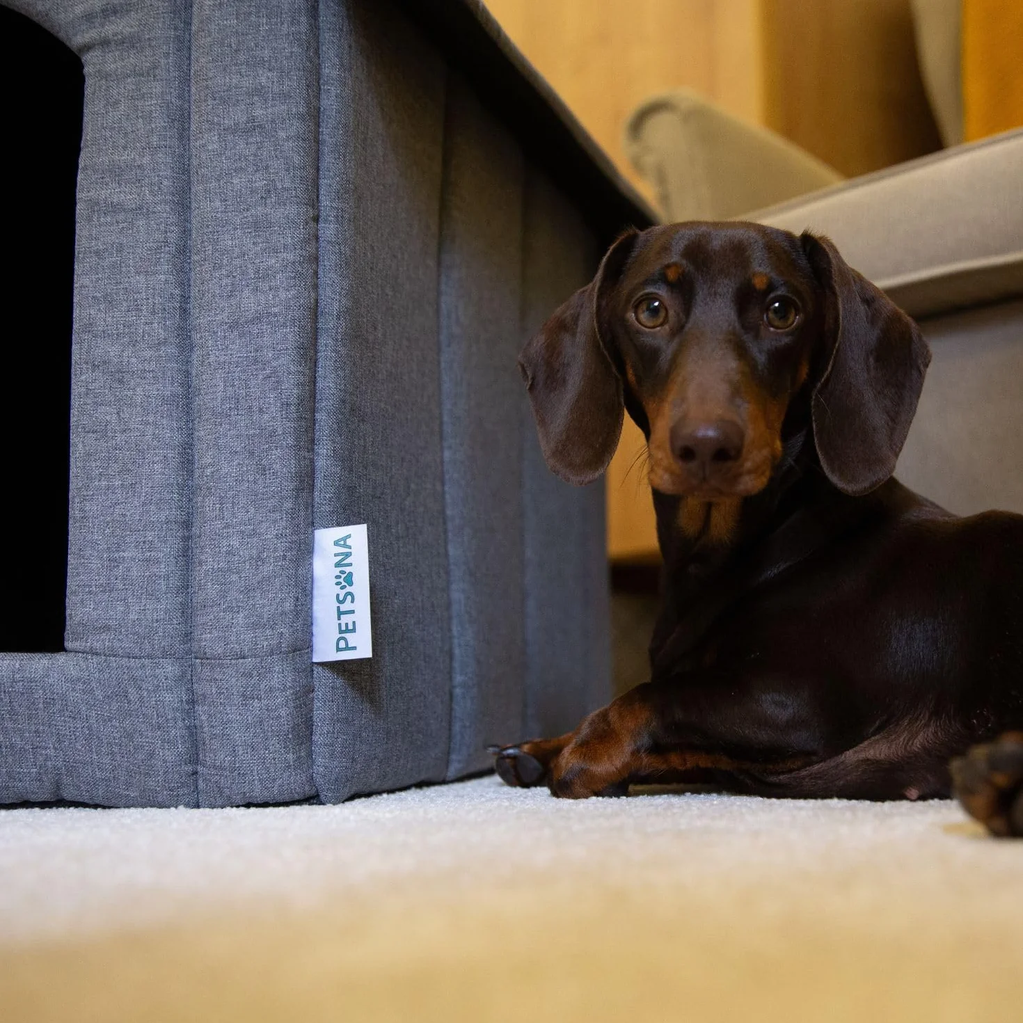 Caseta del Perro Perrera Plegable con Techo Desmontable Casa del Perro Cama Cueva del Gato Cama para Mascotas Tamaño XXL, Gris