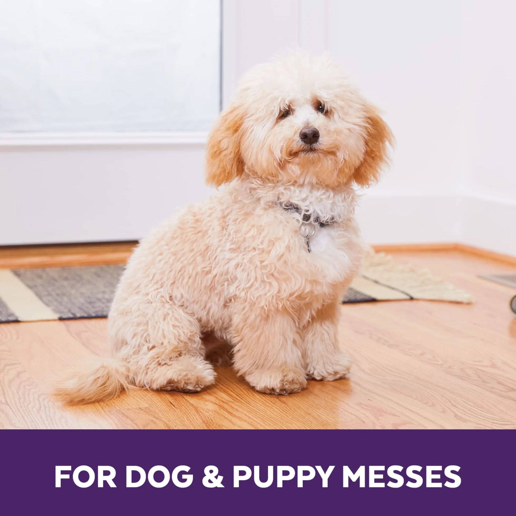 Urine Off Removedor de olores y Manchas para Cachorros y Perros | Spray Limpiador de alfombras Fresh Scent | Eliminador de olores de orina y Manchas enzimáticas Bio Seguro para Mascotas | 3.78 L