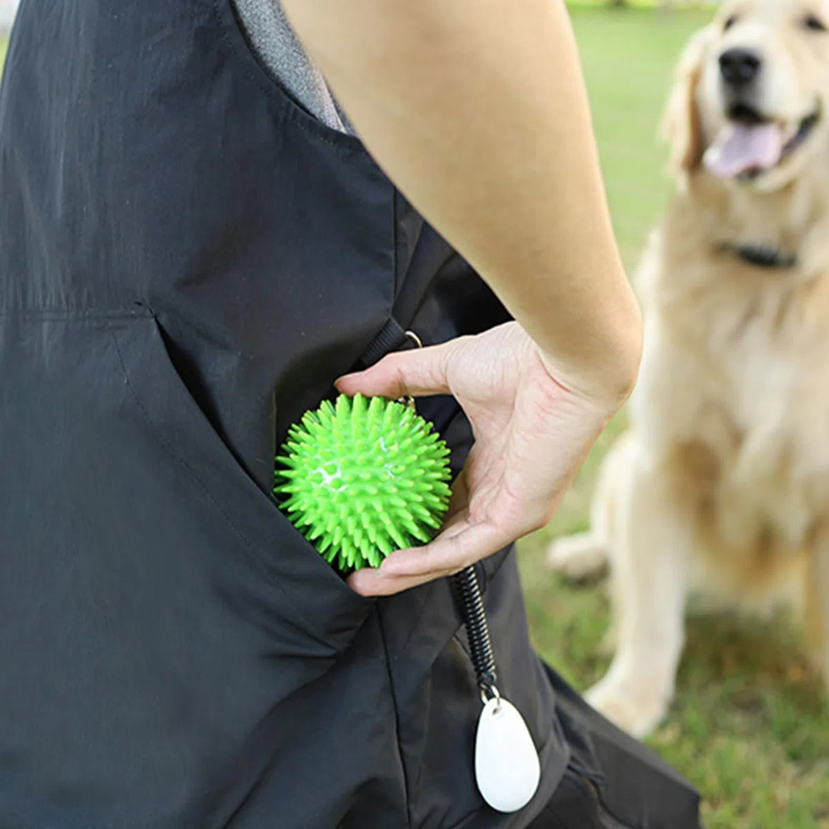 Chaleco de Entrenamiento para Perros – Equipo de Entrenamiento para Mascotas con múltiples Bolsillos, Traje de Entrenamiento Ligero para Uso al Aire Libre | Chaleco Ajustable para Deportes de Perros