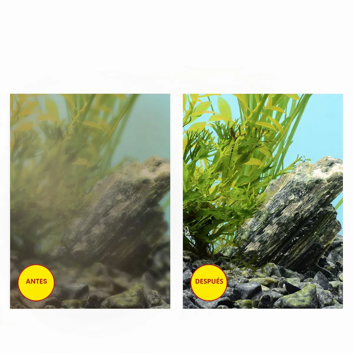 CIANO, Acuario Consumibles - Cartuchos de Filtro de Repuesto para Filtro de Acuario, Paquete de 3 Meses, Talla M, Agua cristalina para Peces, sin impurezas y sin olores, Limpieza eficaz