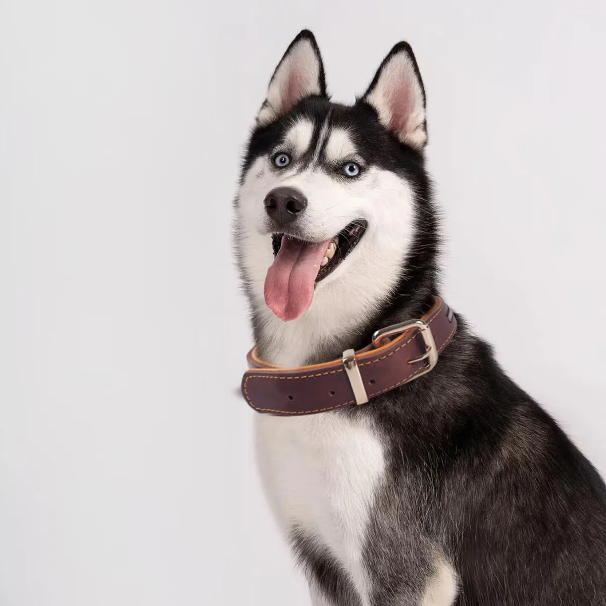 Collar de Perro de Cuero Grueso,Heavy Duty Cuero Genuino, Reflectante y Ajustable,Suave Acolchado para Mayor Comodidad,Collares de Perro Fuerte para Medianas, Grandes, Extra Grandes Razas（Marrón）(XL)