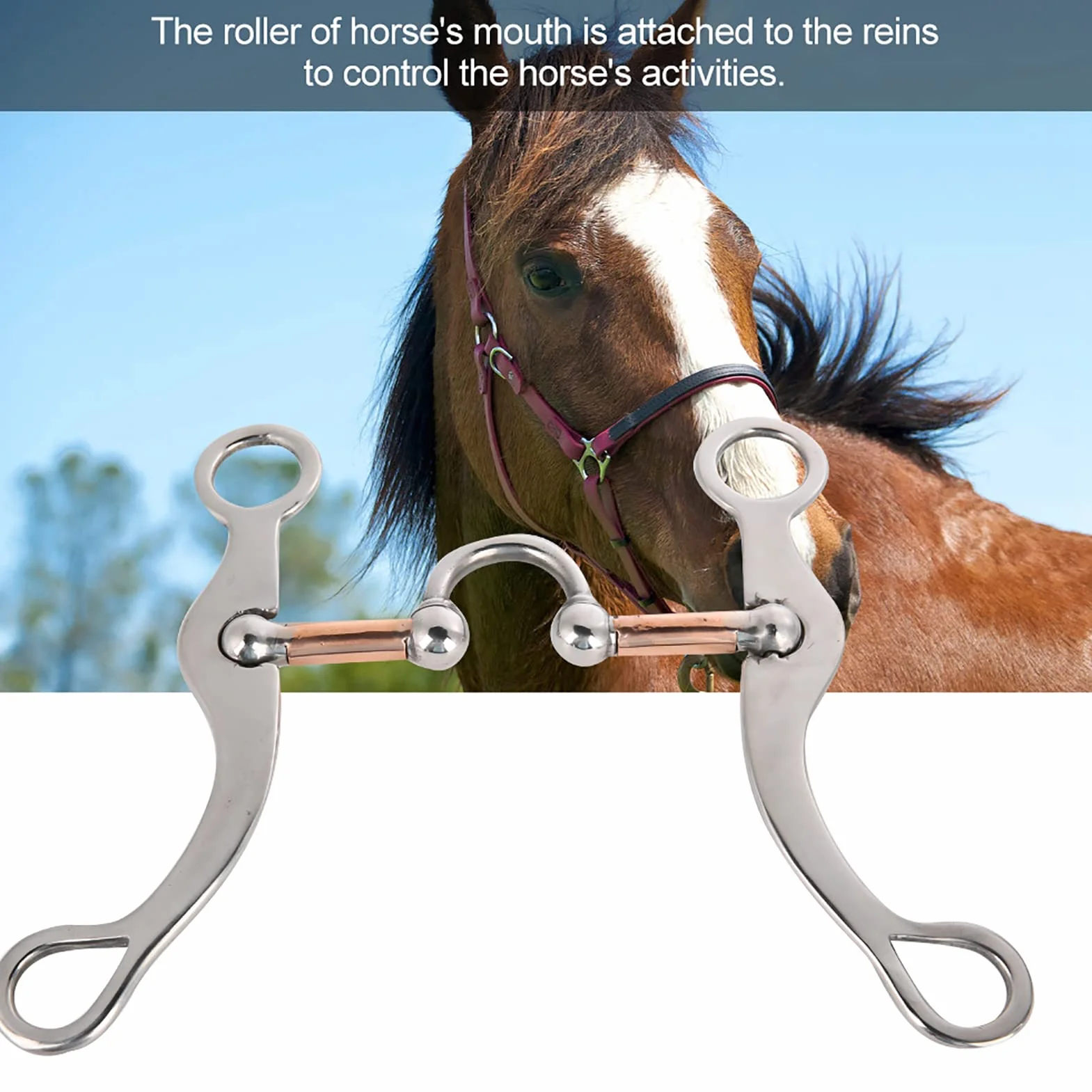 Bocado para Caballo con Rodillos |Boquilla de Hierro Dulce de Acero Inoxidable de 12 mm de Espesor |Bocado Suelto para Caballos Jóvenes/Entrenamiento/Equitación |Control