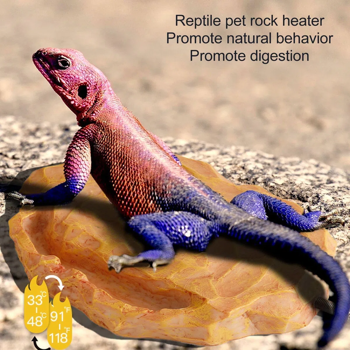 Calentador de Reptil genérico Calentador de Piedra calefactora controlada por Temperatura para lagartos, Tortugas, Serpientes, Tortugas, Geckos Leopardo con Piedra calefactora 12V