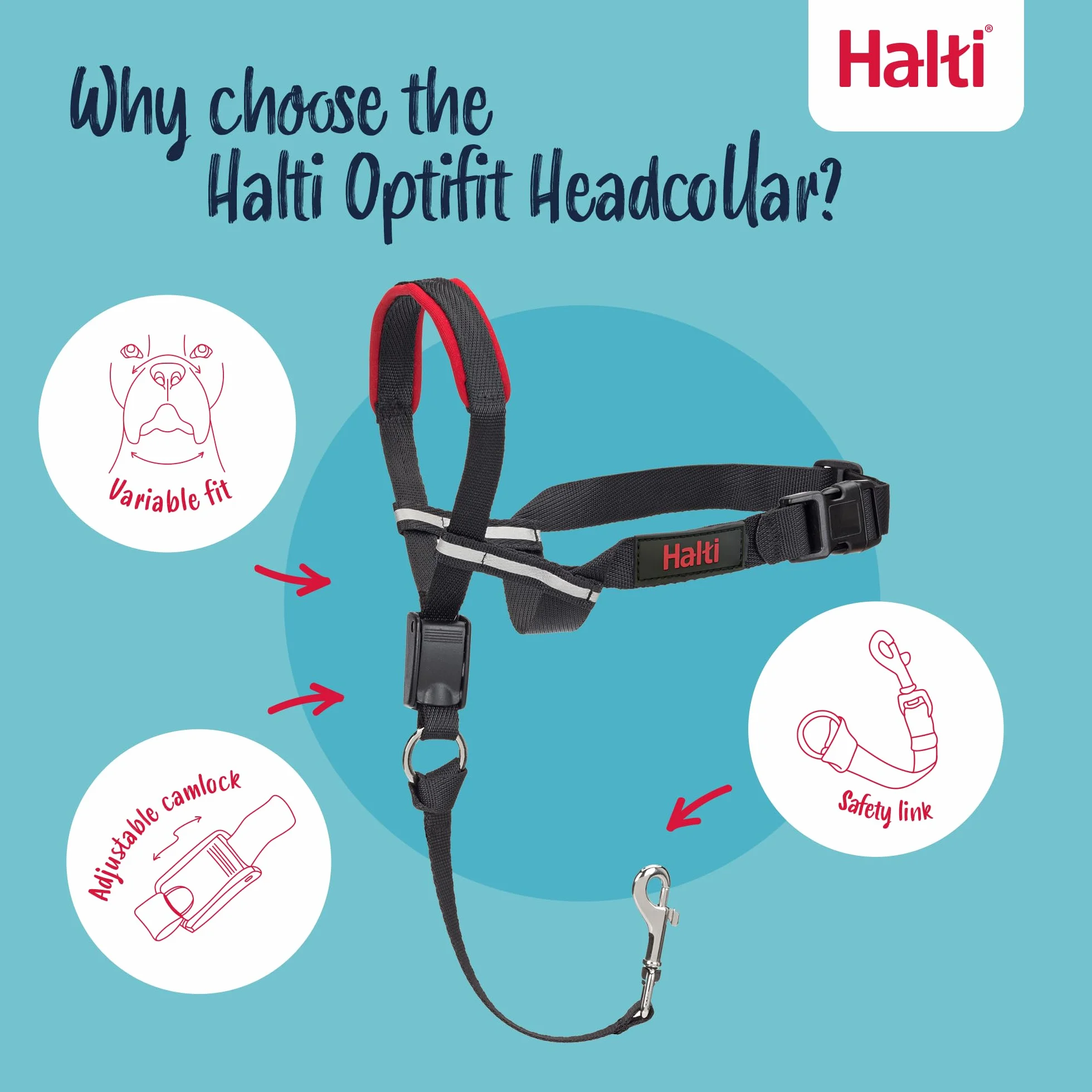 Halti Optifit - Paquete combinado de collar y correa de entrenamiento, evita que el perro tire en paseos con Halti, incluye collar de cabeza Optifit mediano y correa de doble extremo, negro, collar de