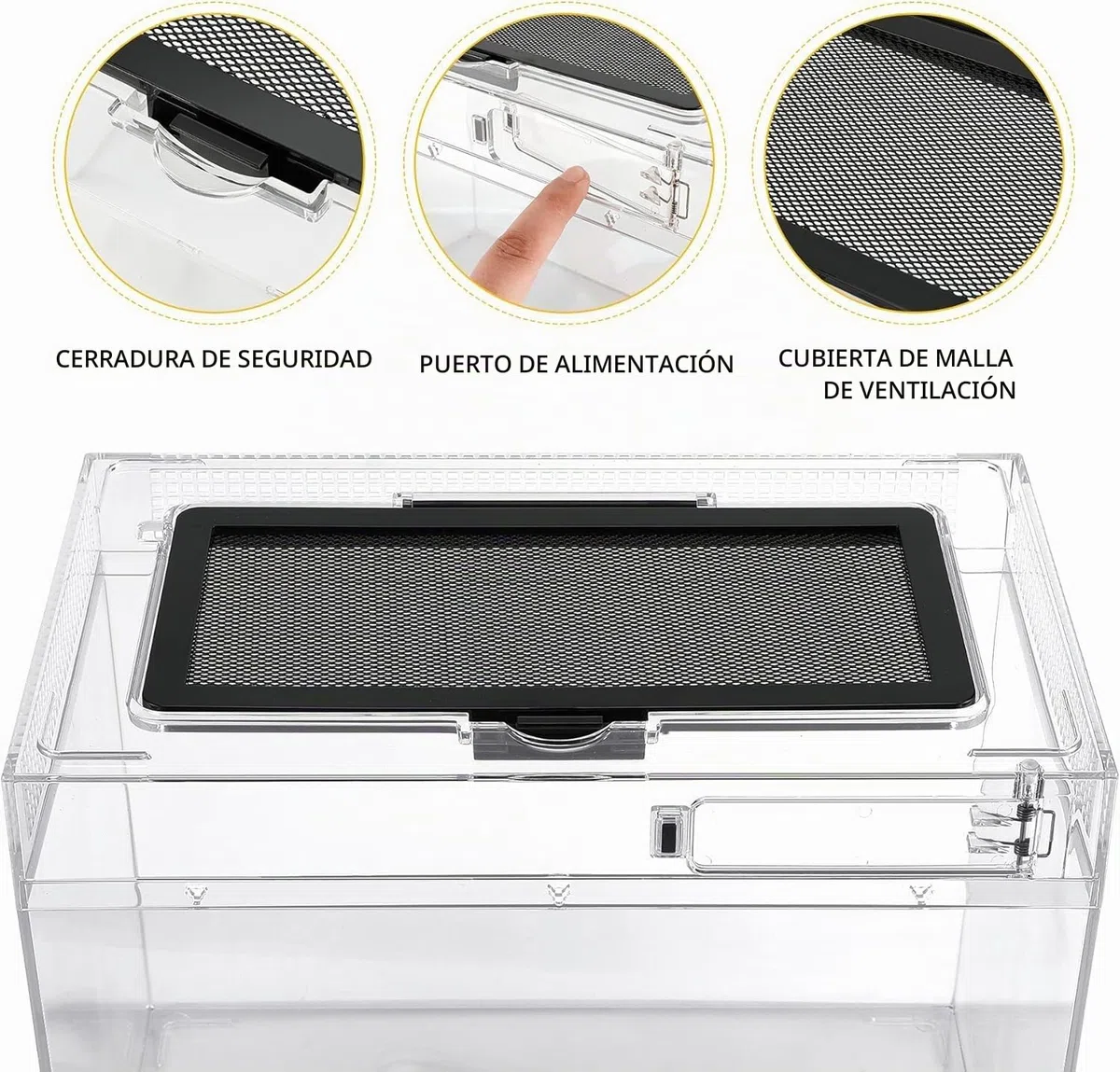 Caja de Alimentación de Insectos, Caja de alimentación para Reptiles, Estuche de Cría de Reptiles para lagartos, arañas, Ranas de Cuernos y escarabajos,Terrario para Reptil/Anfibios (12 * 7 * 9in)