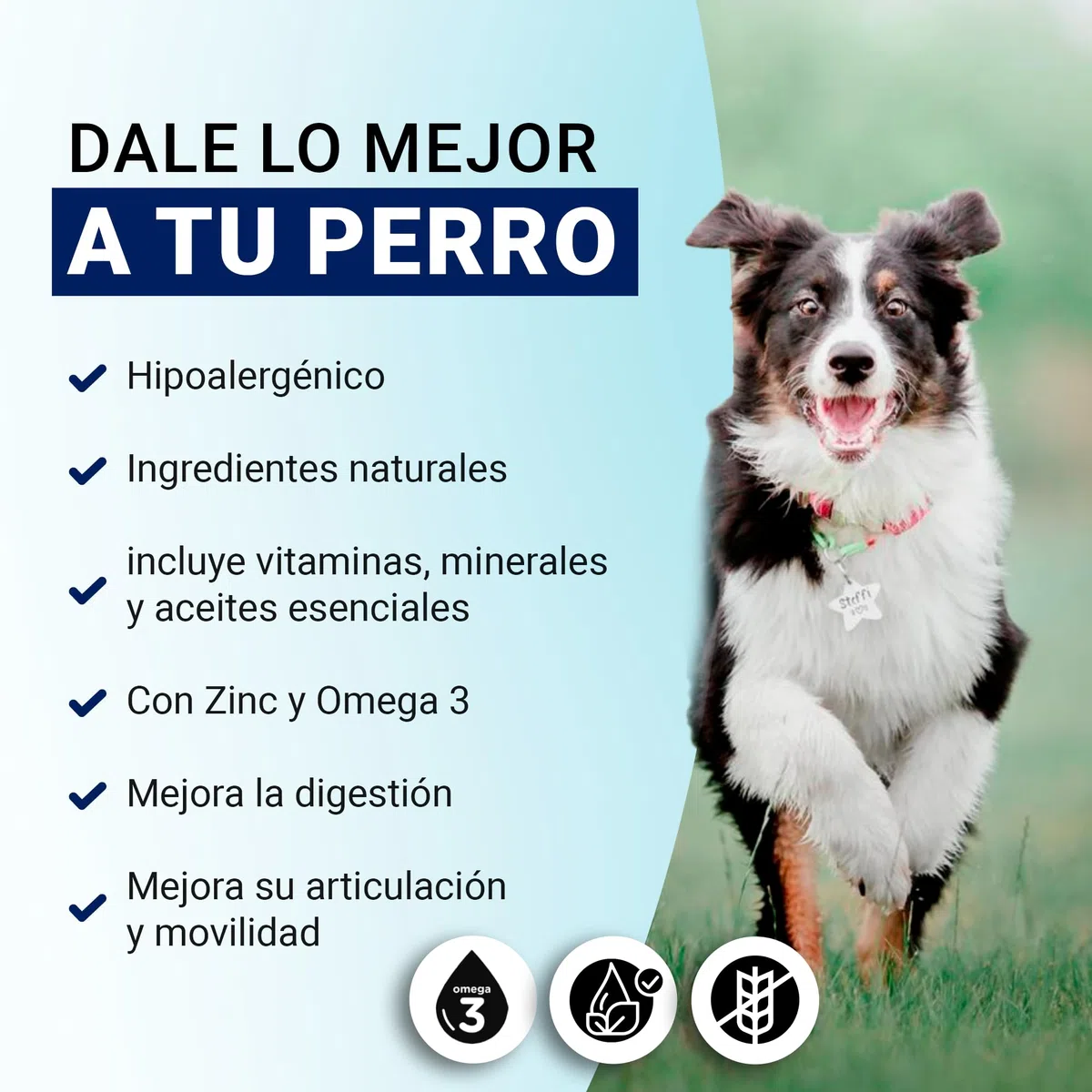 Yerbero Nature Senior Diet Pienso Hipoalergénico para Perros Mayores con Pescado, Pienso Bajo en Grasas para Mayores de 8 Años con Vitaminas, Comida Perros para el Cuidado Articulaciones Pack 2 de 3kg