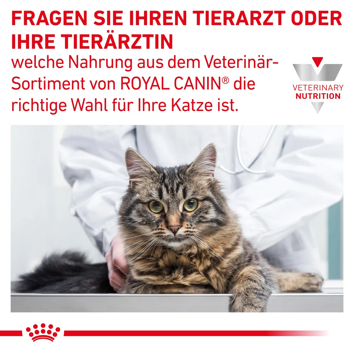 Royal Canin Alimento para Gatos con Problemas Intestinales GI32-2 kg