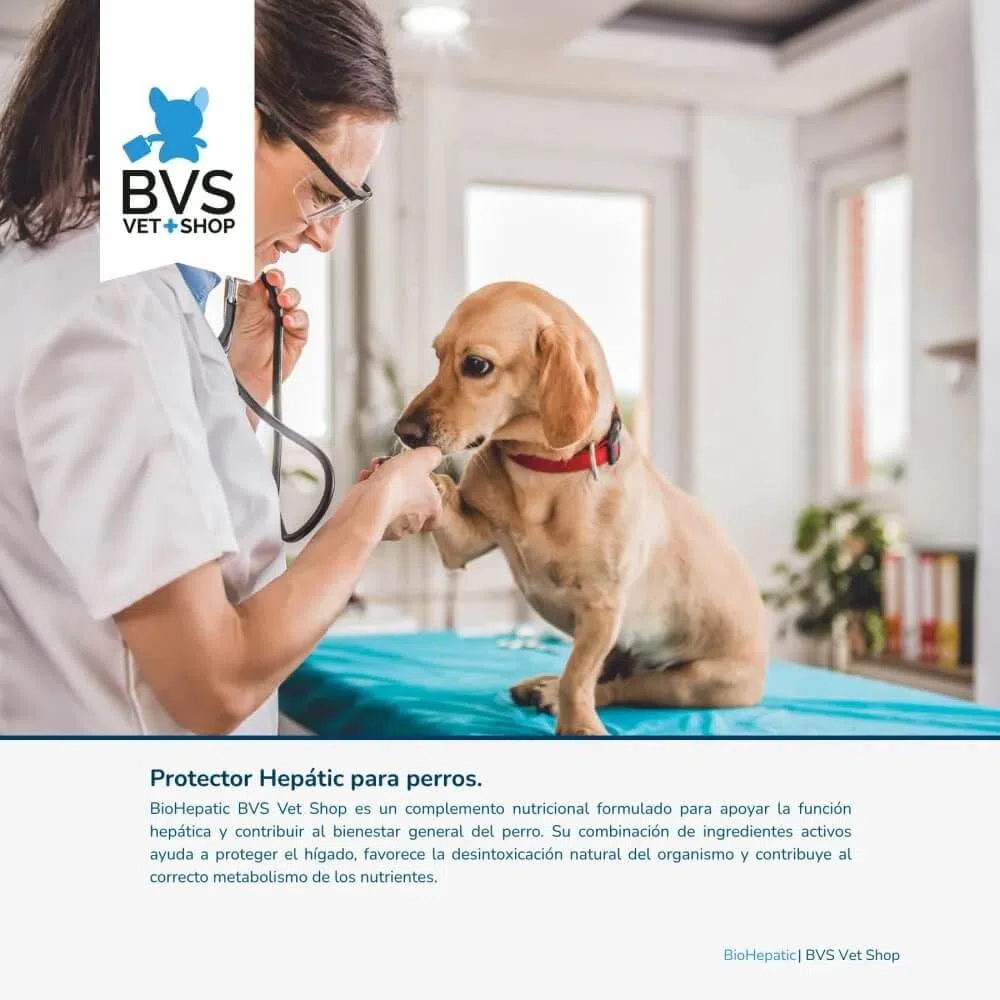 BVS Vet Shop | BioHepatic 40 Comprimidos para Perros | para la reducción de trastornos de la absorción intestinal, hepáticos, renales y cardiacos | Razas Pequeñas
