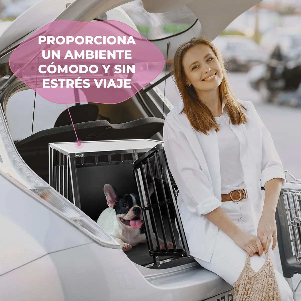 MaxxPet Transportín para Perros en Coche - Banco de Transporte - Banco para Perros para el Maletero del Coche - Banco de 2 Puertas - 96x91x70cm