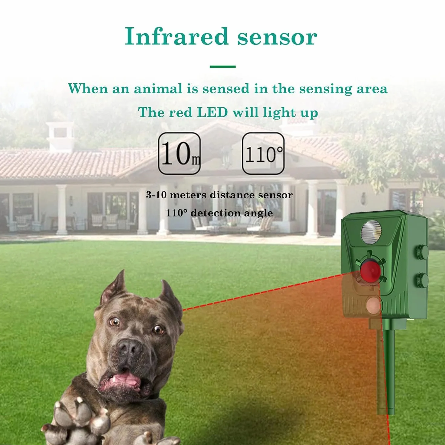Ahuyentador ultrasónico para Gatos 2024, repele Animales de Exterior como Gatos, Ratas, Perros, pájaros, Zorros, ahuyentador ultrasónico Solar para Gatos, ahuyentador Exterior par