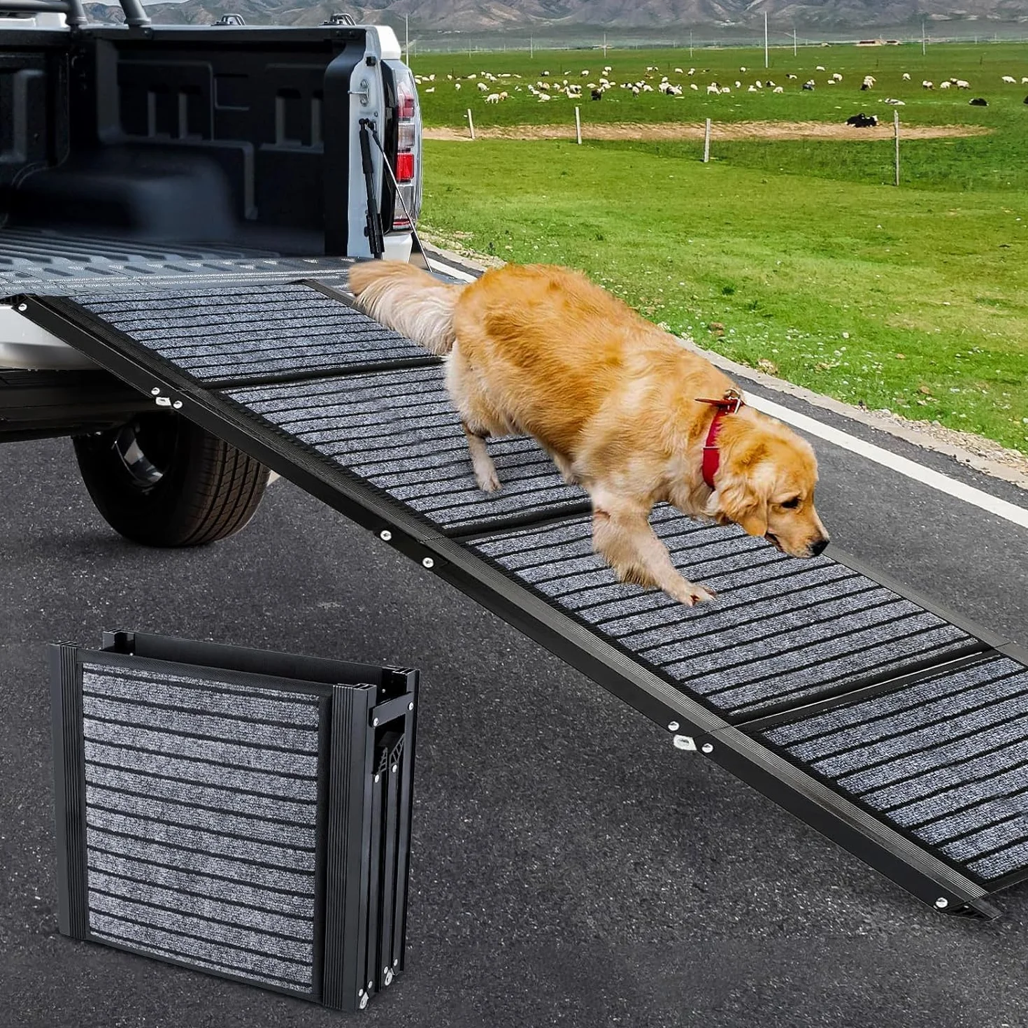 Rampa para perros más larga de 180 cm y más ancha de 50 cm, rampa plegable para autos con alfombra antideslizante, plegable para escalones al aire libre, escalera para perros para autos para perros